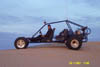 Matt in his Buggy