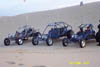 The Buggys