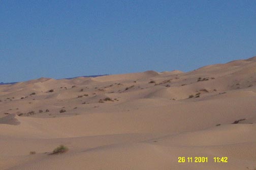 The Dunes