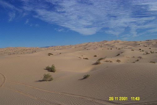 The Dunes