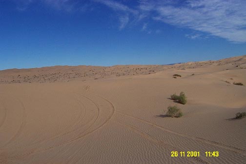 The Dunes